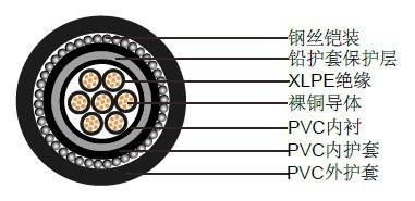 铠装电缆示意图